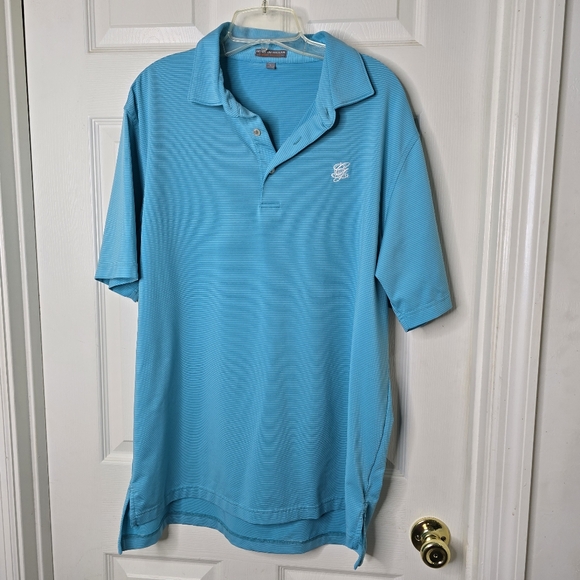 Men's Peter Millar Turquoise Stripe Short Sleeve Polo Shirt L - Picture 2 of 12